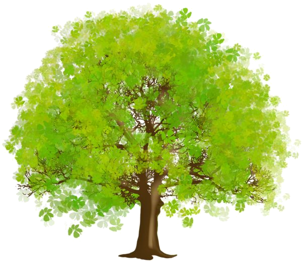 Arbre,tubes,png - Tree Clipart (600x521)