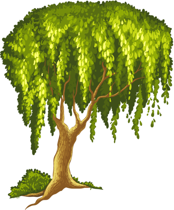 Arbre,png - Peter Percival And The Cyberbullying Caper (600x724)