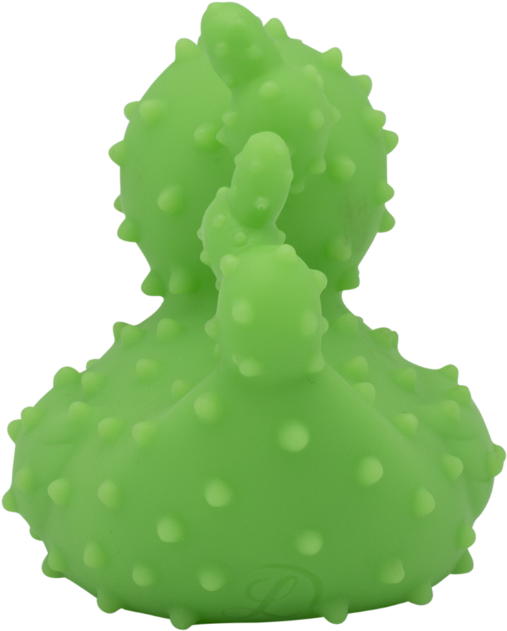 Cactus Rubber Duck By Lilalu - Number (1024x1024)
