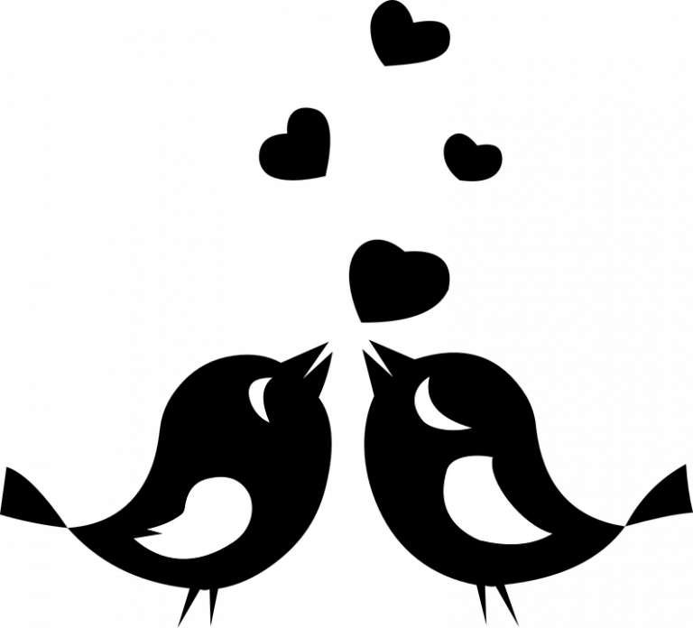 Kissing Birds Clipart Image Result For Kissing Birds - Love Birds Silhouette Png (768x696)