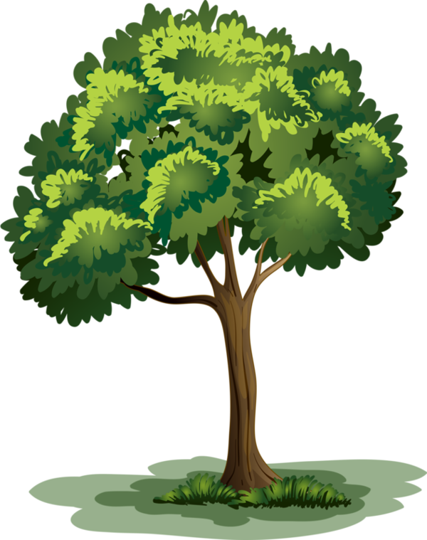 Arbre,png - Clipart Arbre Png (600x759)