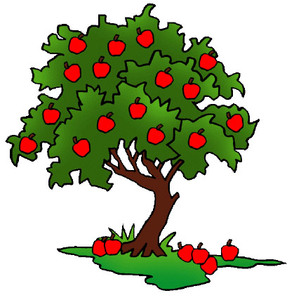 Clip Art - Apple Tree Drawing (444x446)