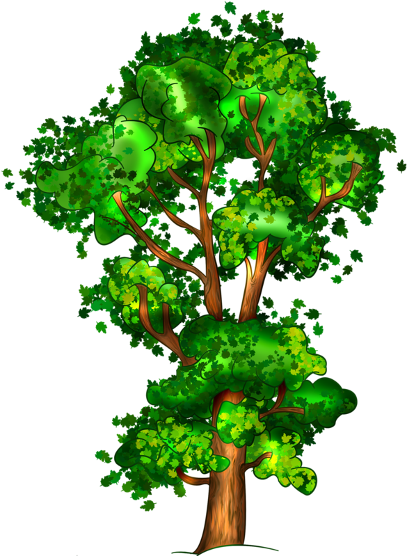 Дерево, Трубки, Png - Tree (592x800)