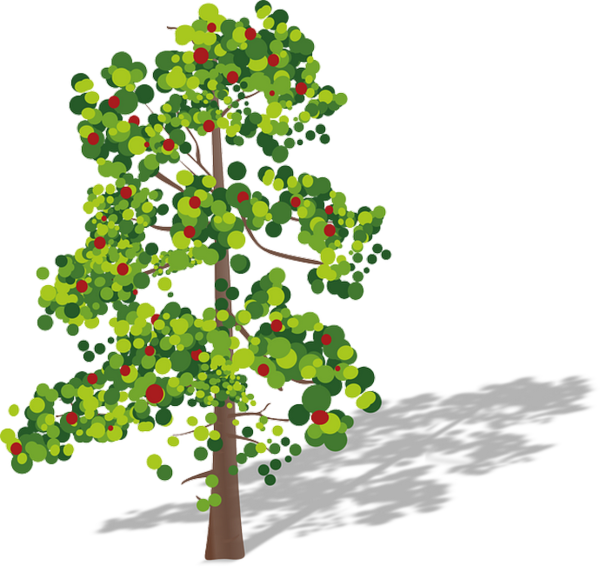 Arbre,tubes,png - Carbon Dioxide Oxygen Cycle (600x572)