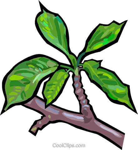 Branche D'arbre Vecteurs De Stock Et Clip-art Vectoriel - Clip Art (442x480)