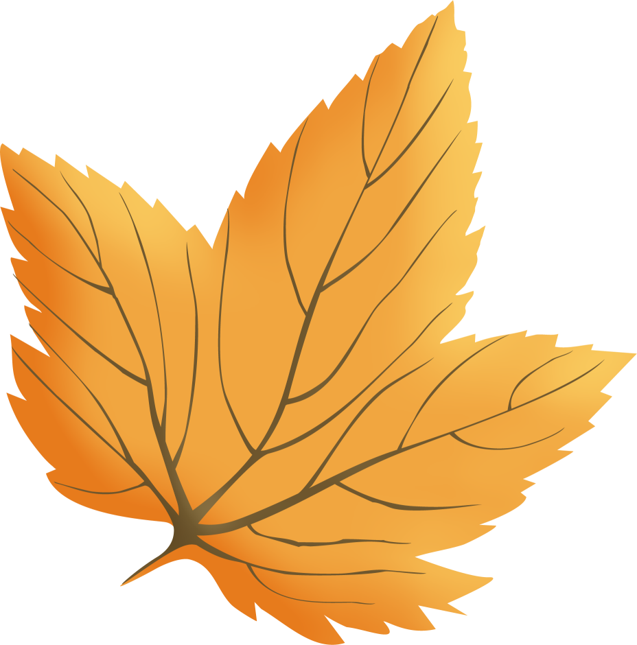 Clipart Feuille D'automne - Clipart Feuille (928x940)