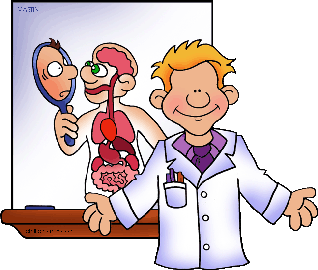 Human Body Clipart - Excretory System Clip Art (648x576)