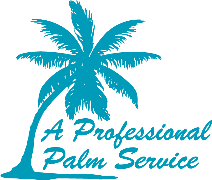 A Professional Palm Service Strathpine - A Professional Palm Service (767x594)