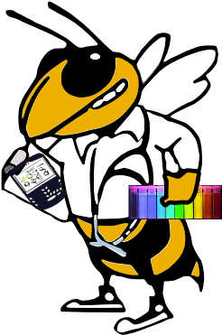 Georgia Institute Of Technology (300x402)
