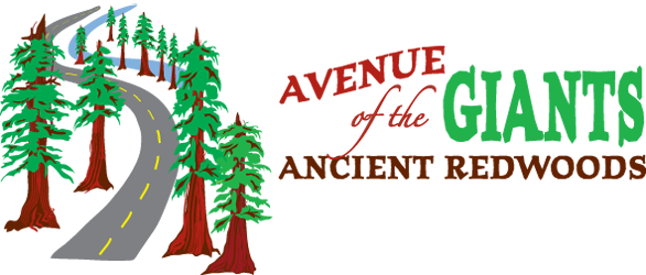 Avenue Of The Giants - Yoga Quotes (586x250)