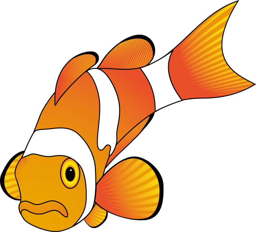 Fish Cartoon Animation Clip Art - Orange Fish Vector (827x749)