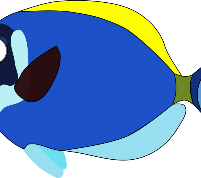 Cartoon Fish Picture Clipart Blue Cartoon Fish For - Cartoon Fishes (678x600)