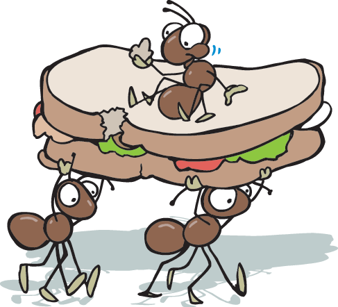 The Scavengers And Decomposers Help Move Energy Through - Ants At A Picnic (487x442)