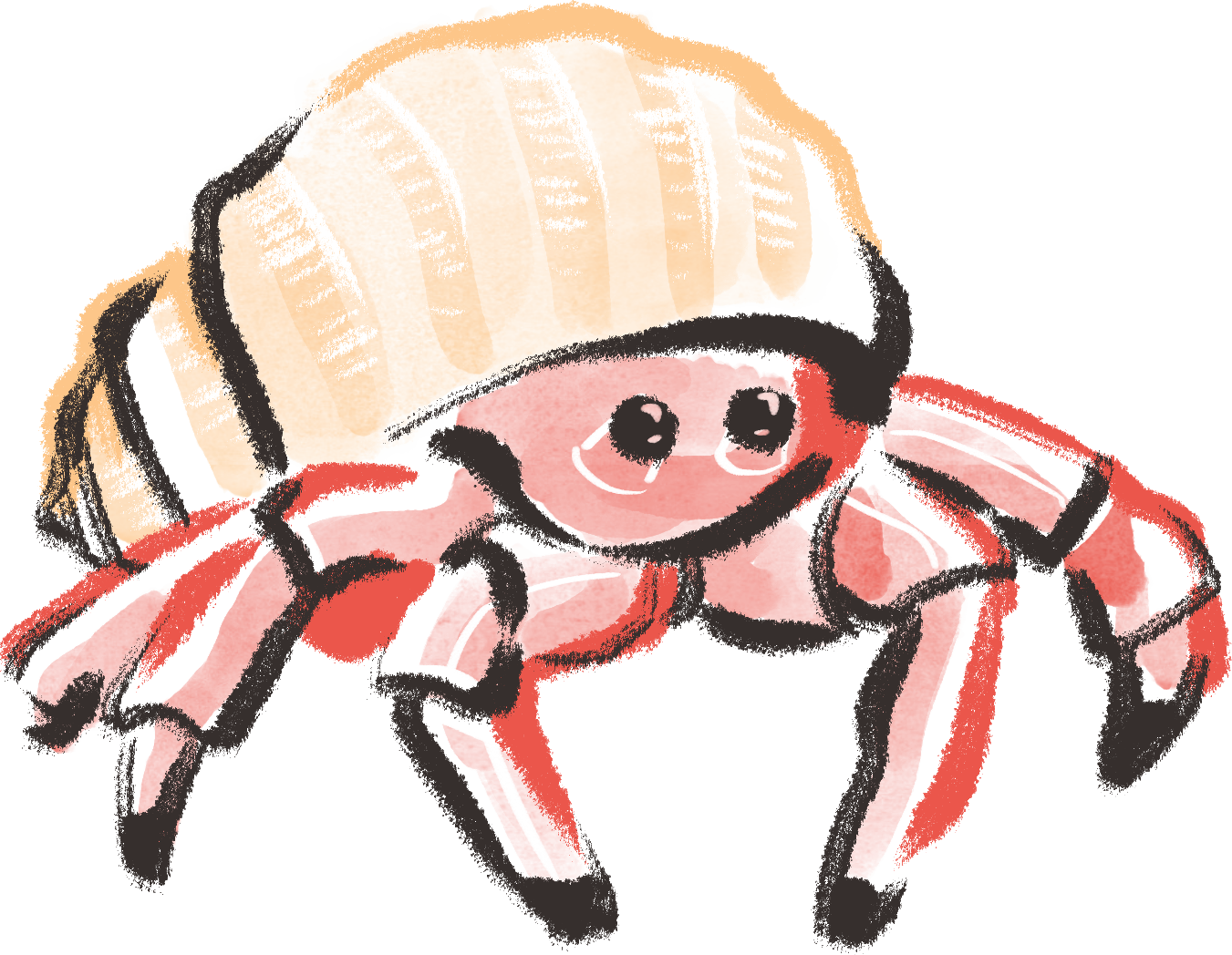 Hermit Crab - Cancer (1351x1048)