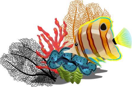 Tropical Fish Clipart - Tropical Fish Clip Art (446x293)