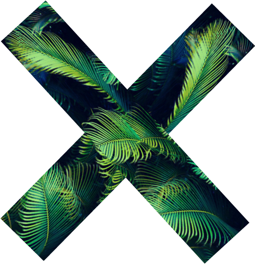 The Xx Tumblr Palm Tree - X Tumblr Png (700x700)