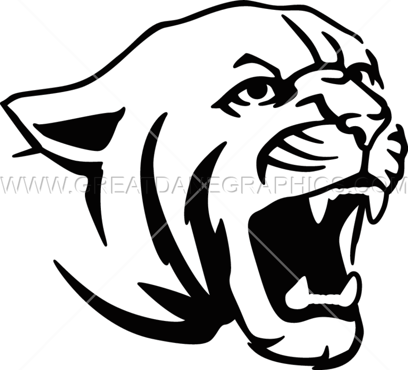 Easy Cougar Drawing At Getdrawings - Black And White Cougar (825x748)