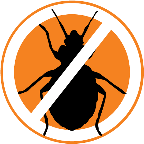 Select Services Offer Conventional Bed Bug Treatment - Select Services Offer Conventional Bed Bug Treatment (500x496)