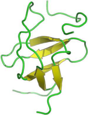 Frog Clip Art - Illustration (800x600)