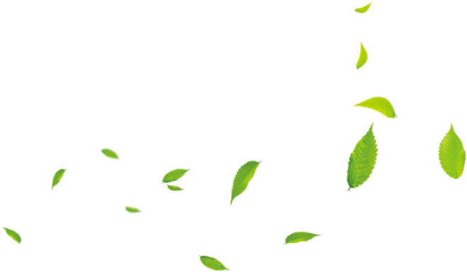 Green Small Leaves (658x406)