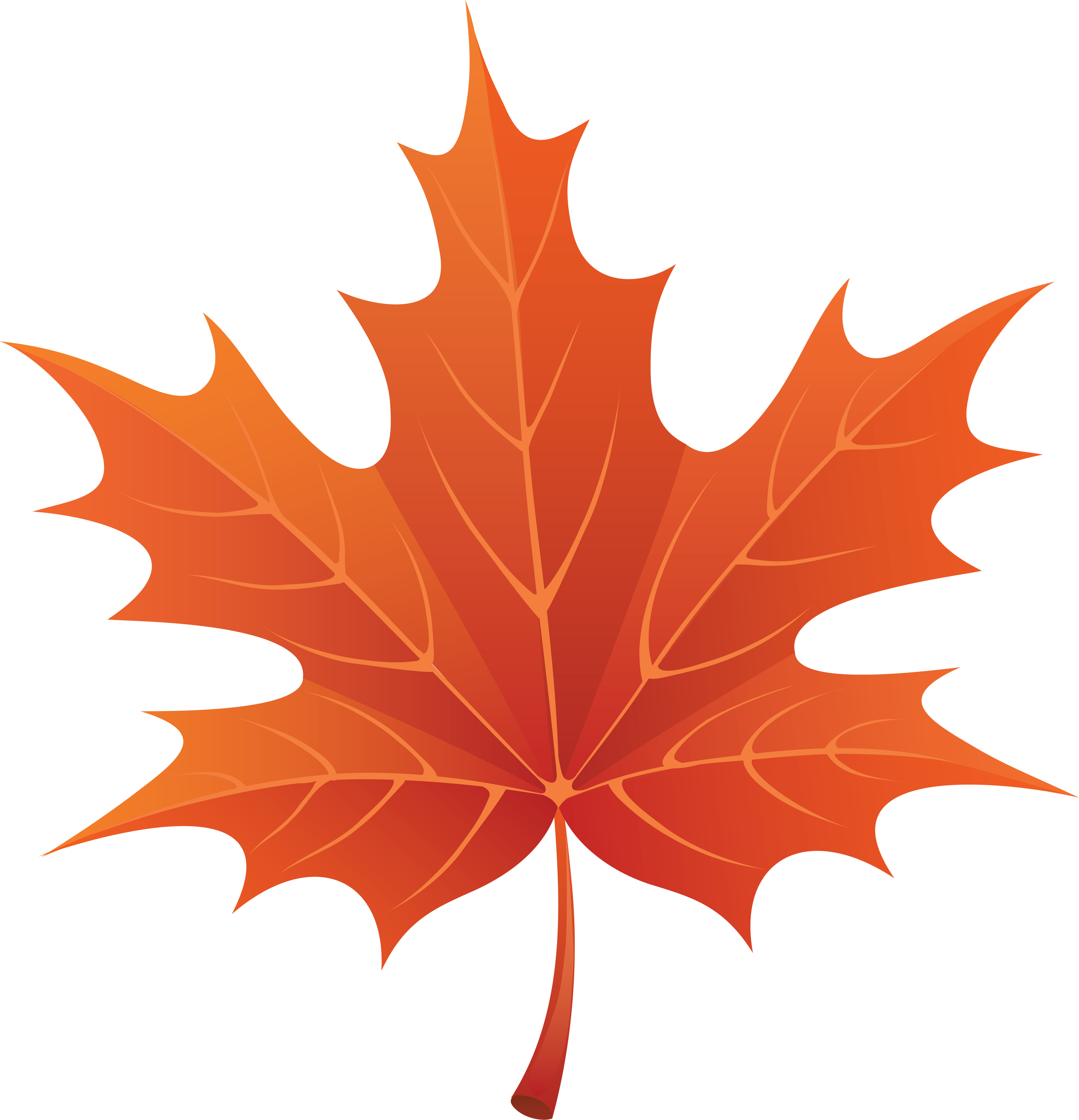 Drawn Maple Leaf Transparent - Autumn Leaf Clipart (3392x3519)