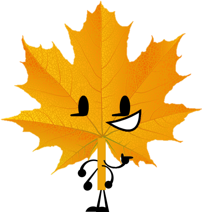 Fall Leaf - 4 Major Functions Of Leaves (715x738)