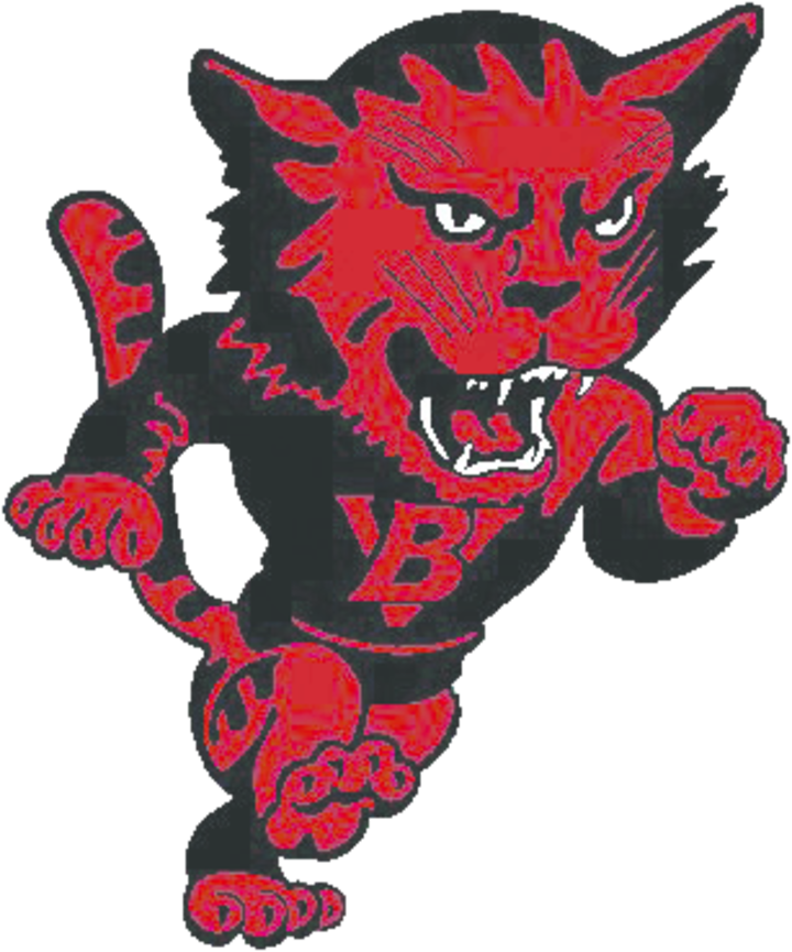 Bay View Redcats Football (720x865)