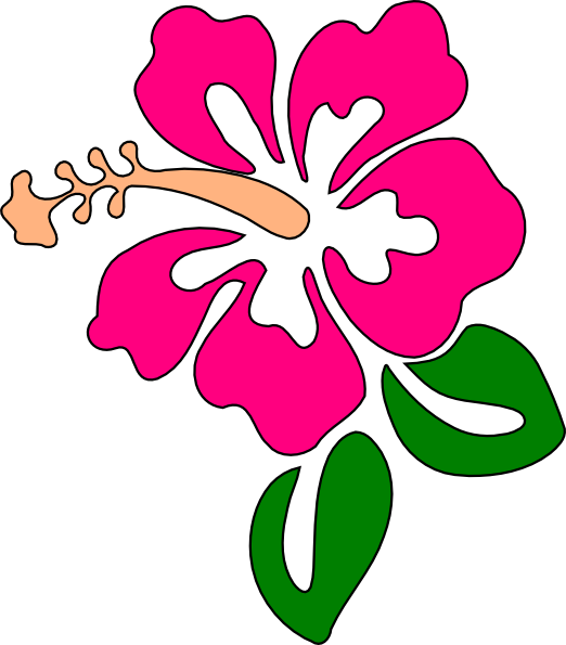 Hibiscus Con Hojas Clip Art At Clker - Flor De Hibisco Desenho (522x595)