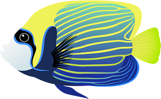 Tubes Poissons Fish Pinterest Fish, Fish Art And Papercraft - Monde Marin Clipart Gratuit (575x423)