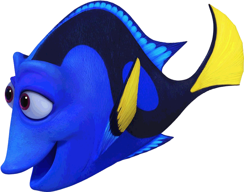 Multibar Angelfish And Three Banded Butterflyfish - Finding Dory Mom (911x888)