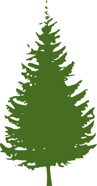 Redwood Tree Clip Art (312x598)