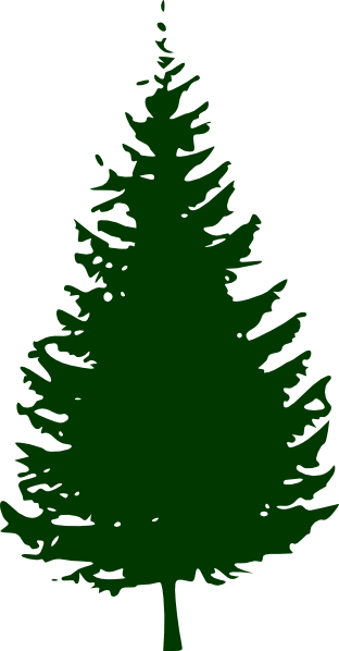 Fir Clipart Ashoka Tree - Pine Tree Silhouette Vector (312x598)