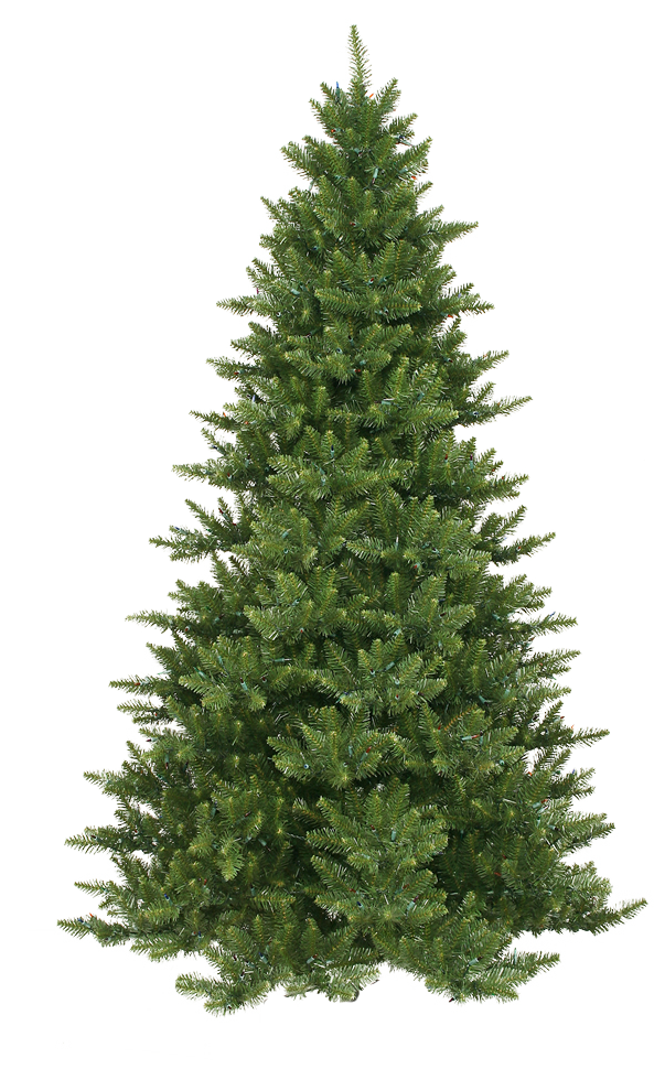 Xmas Pine Tree Png 10 By Iamszissz - Fraser Fir Artificial Christmas Tree (603x970)