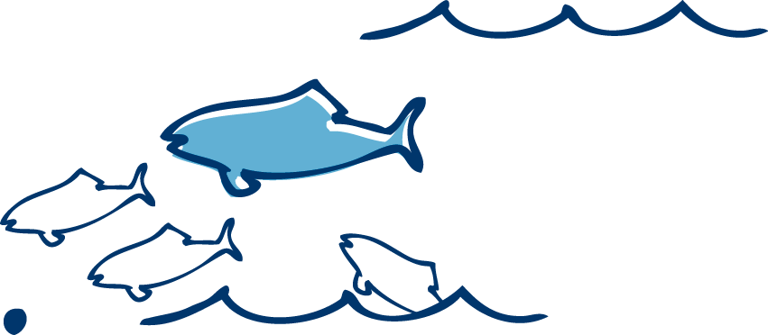 Fish Shoaling And Schooling Euclidean Vector - Cardume De Peixes Sem Fundo (851x372)