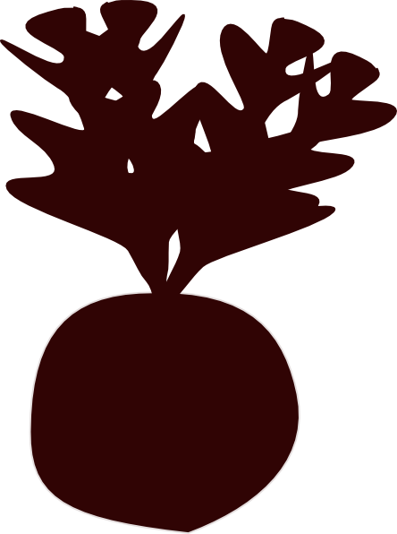 Turnip Clip Art At Clker Com Vector Clip Art Online - Radish Clip Art (444x596)