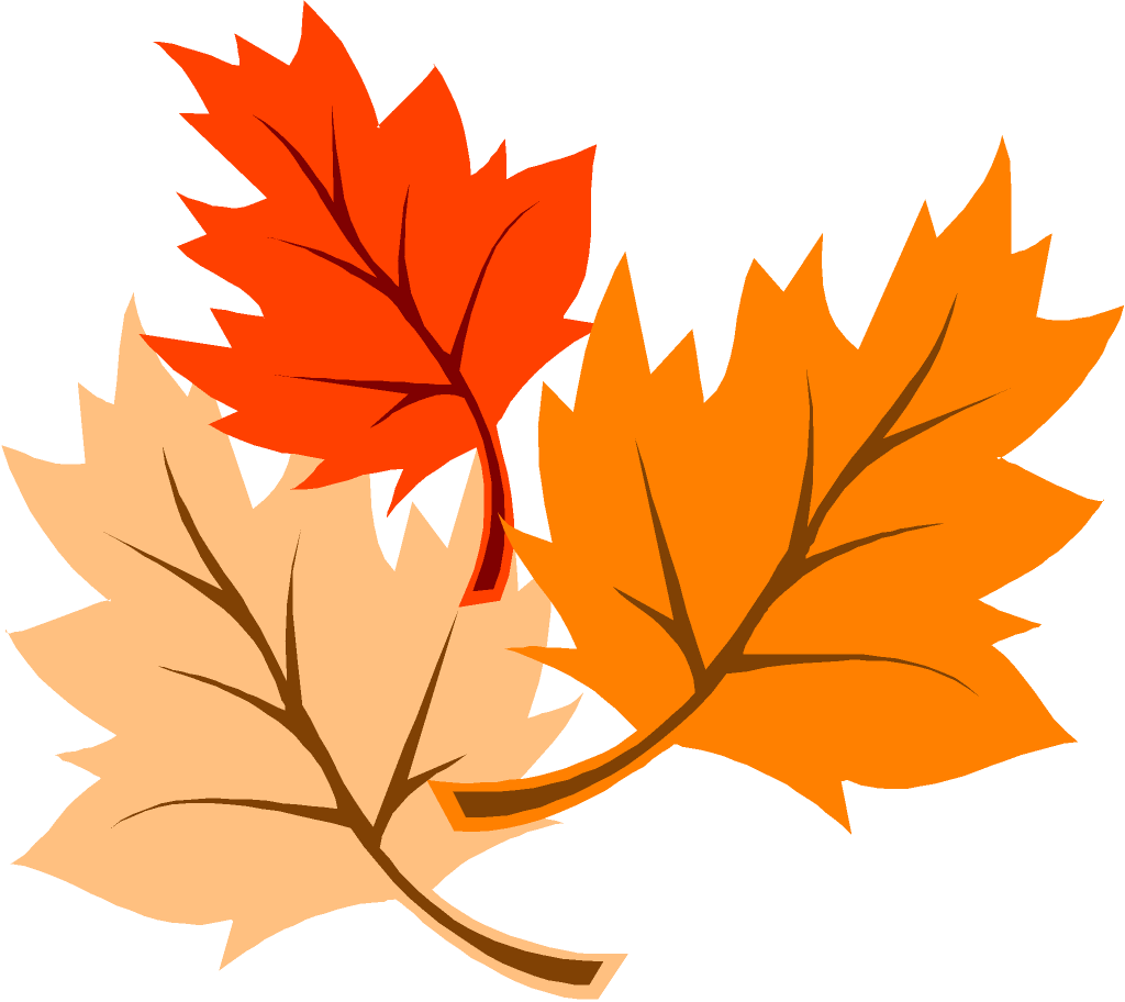 Maple Leaf Clipart Transparent - Thanksgiving Picture Images Clipart (1024x912)