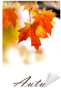 Bright Orange Colored Maple Leaves On The Branch Wall - Venezolana (400x400)