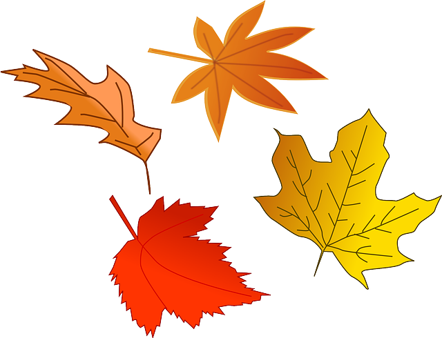 Greenery Foliage, Autumn, Fall, Leaf, Tree, Yellow, - Leaves Falling Clip Art (640x490)