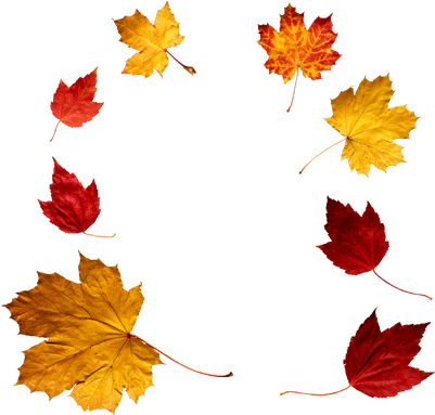 Autumn Leaves Circle - Autumn Leaves Png (400x400)