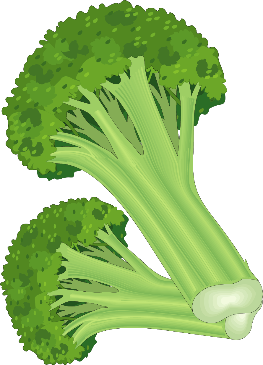 Leaf Vegetable Fruit Carrot Clip Art - Vegetable (890x1234)