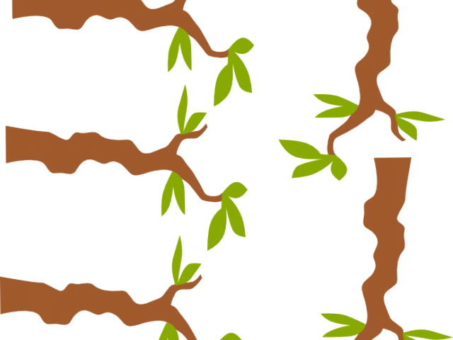 Branch Clipart Jungle Tree Branch - Clip Art (640x480)