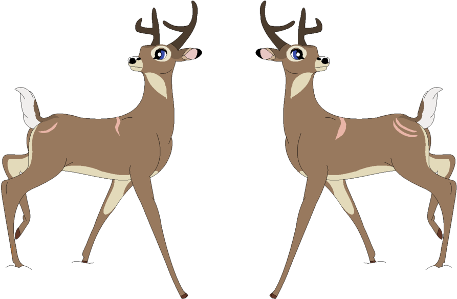 White Tailed Deer Paintings Download - White Tailed Deer Anime (1024x593)