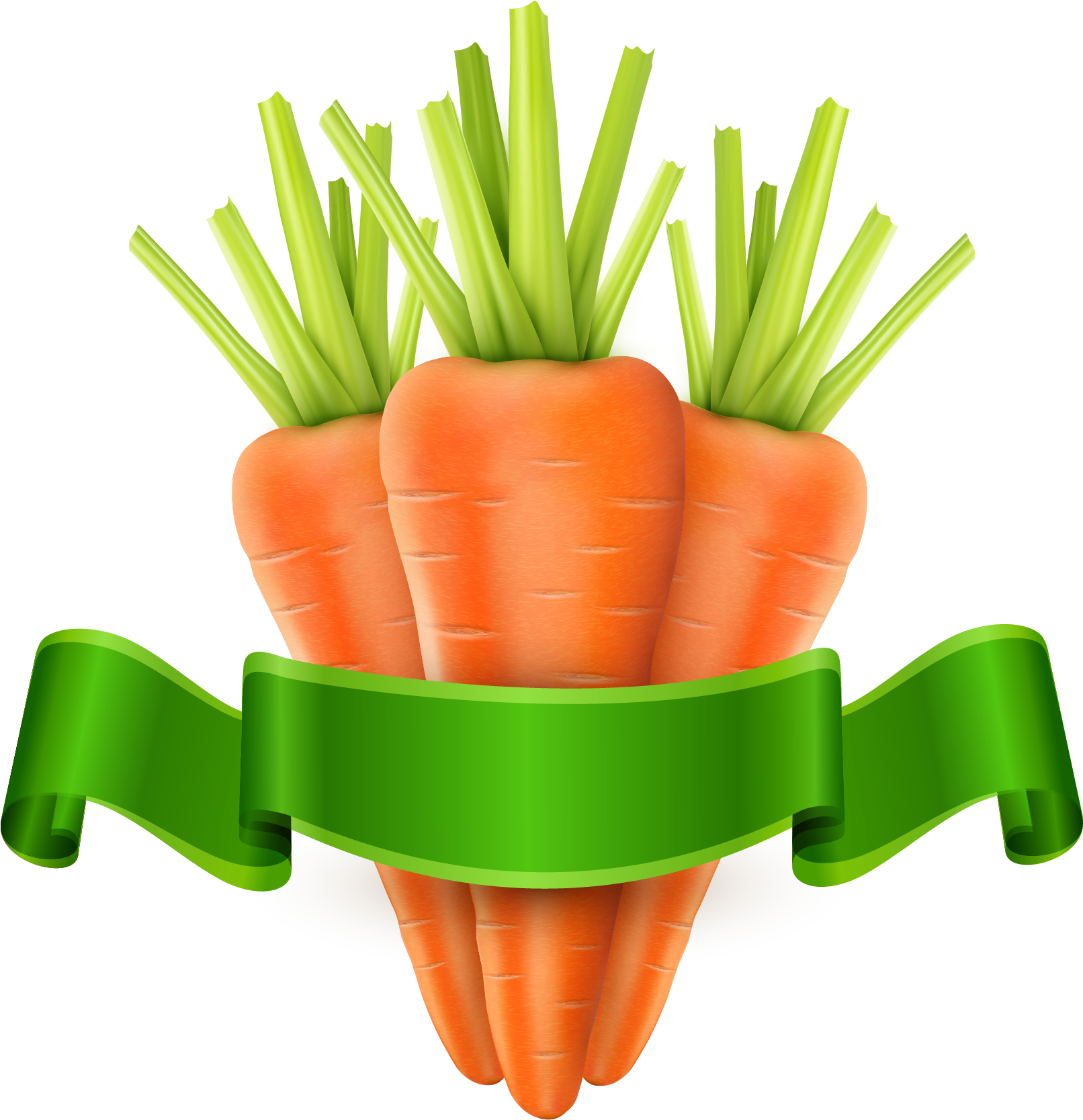 Carrot Vegetable Royalty-free Clip Art - Carrot (1611x2106)
