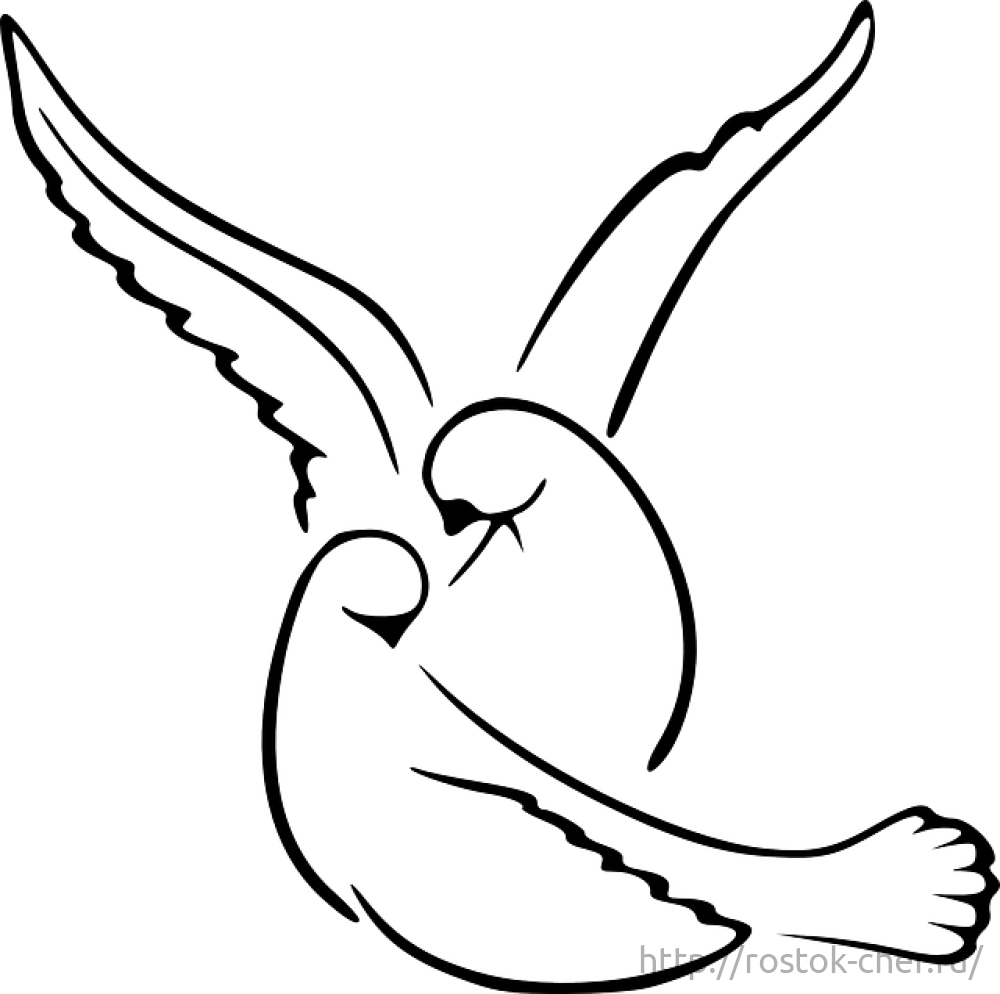 Love Birds Black And White Graphic - Love Bird Drawing Simple (1000x994)