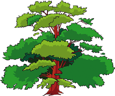 Die Bäume Des Waldes - Forest (465x355)