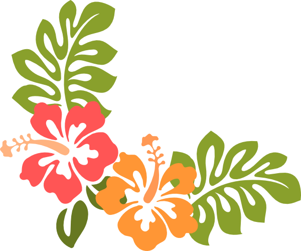 Dahlia Clipart Bunga - Hibiscus Clip Art (600x500)