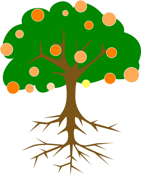 Tree Clip Art Vector Online Royalty Free & Public Domain - Tree With Roots And Fruits (474x594)