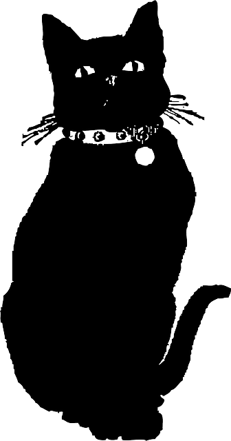 Cat, Silhouette, Cartoon, Dog, Mammals, Cute - Black Cat Illustration Png (336x640)