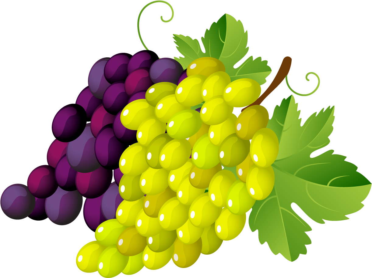 Grape Leaf Clip Art Design Medium Size - Grapes Clipart Transparent Background (1263x937)