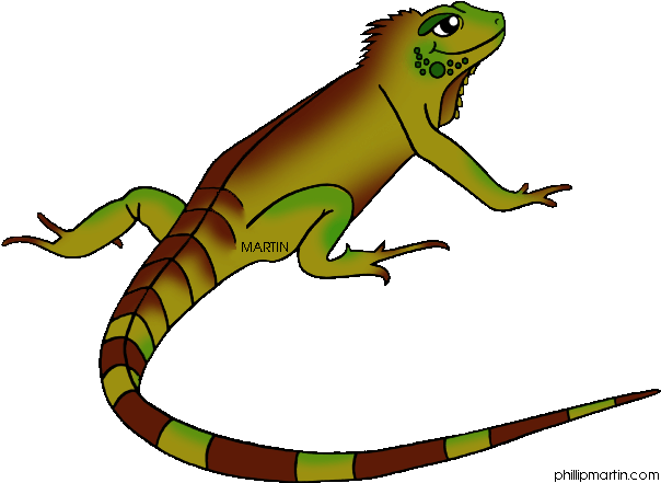 Animals Clip Art By Phillip Martin, Land Iguana - Iguana Clipart (648x468)